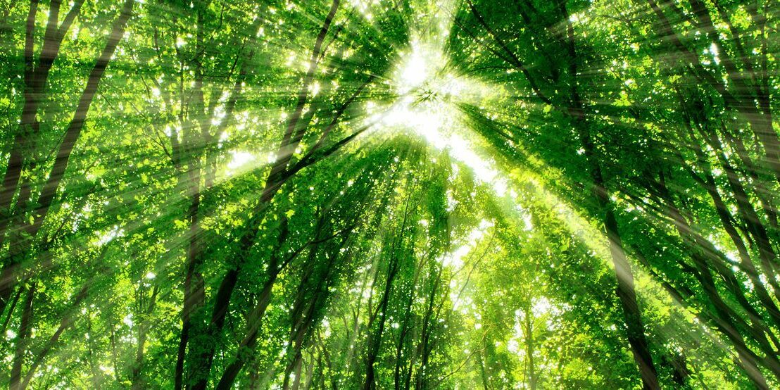 Personalentwicklung pastorales Personal